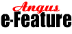 AnguseFeature1a1a